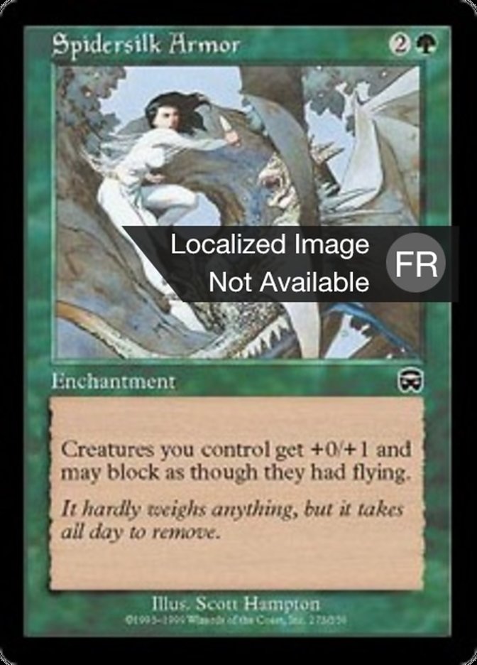 image Armure en toile d'araignée