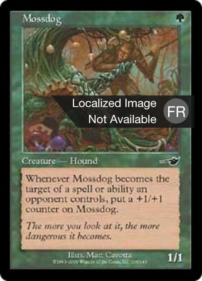 image Chien de mousse