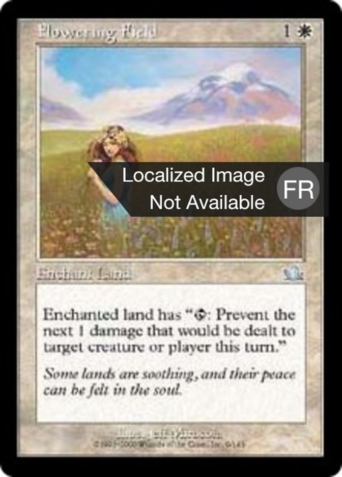 image Champ fleurissant