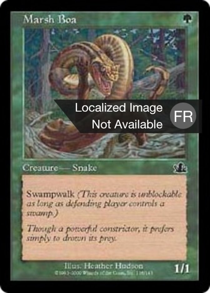image Boa des marécages