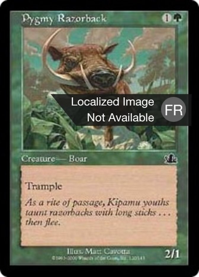 image Sanglier pygmée