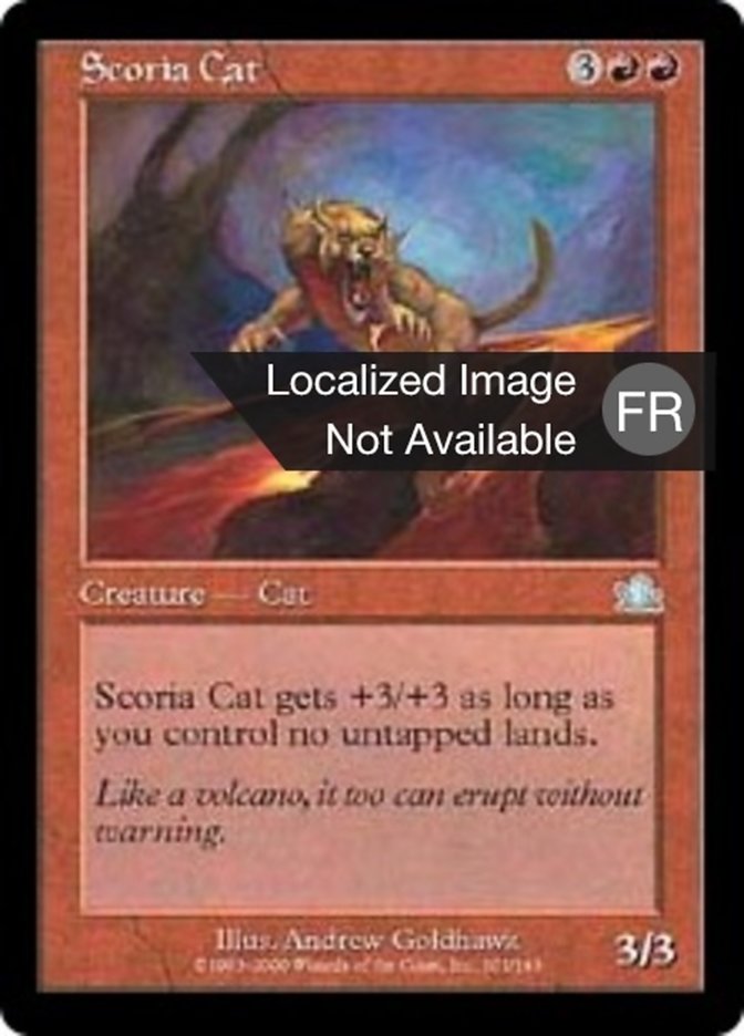 image Chat des scories