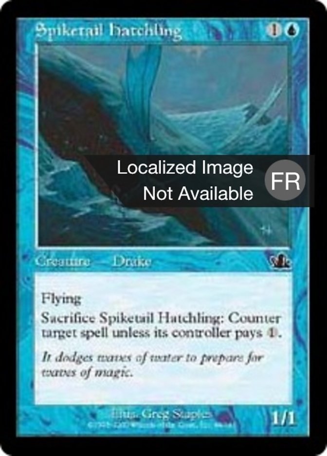 image Jeune dracodard