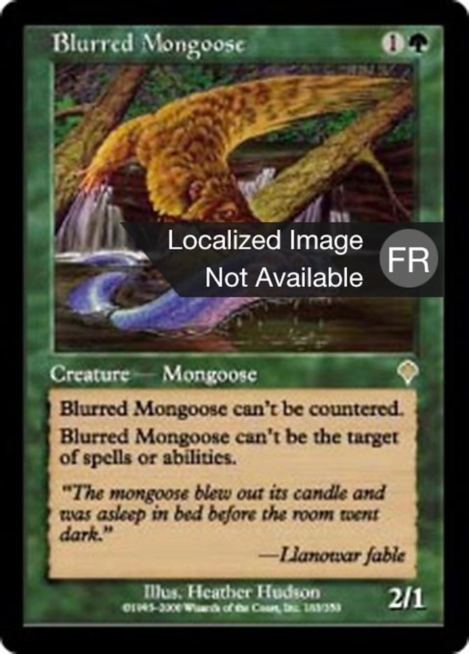 image Mangouste floue