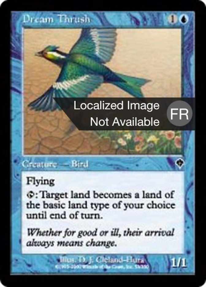 image Grive des rêves