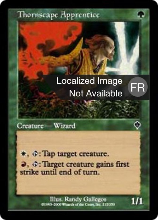 image Apprenti spinosophe