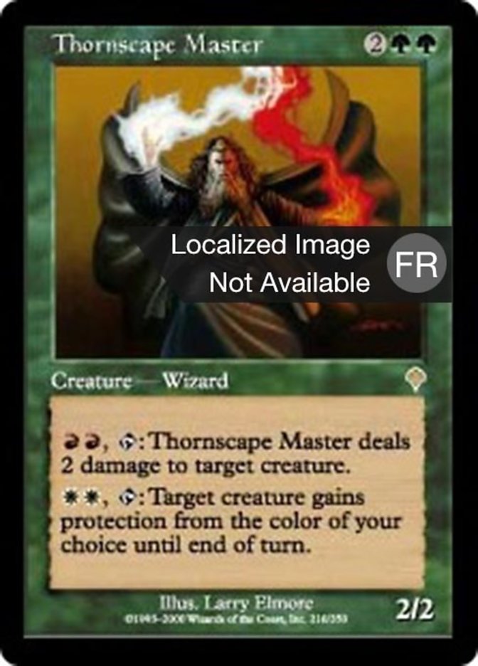 image Maître spinosophe