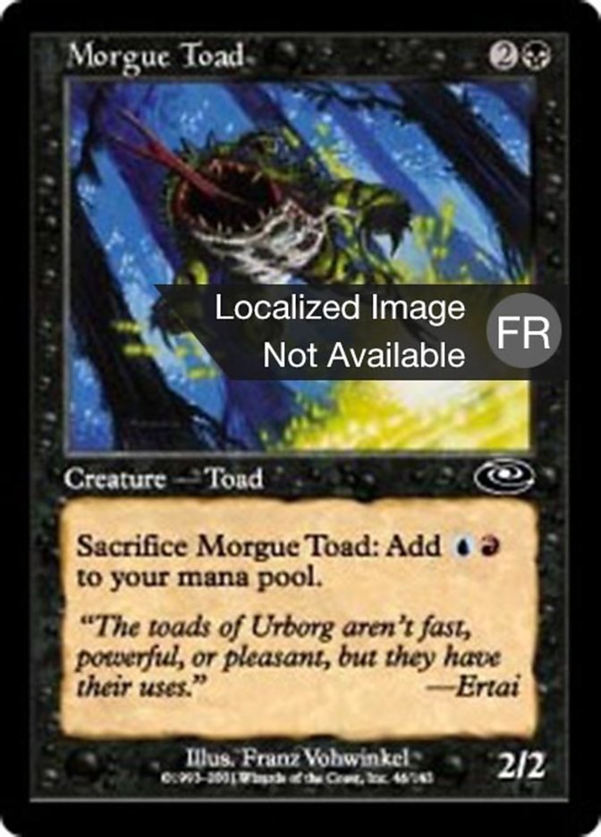 image Crapaud des morgues