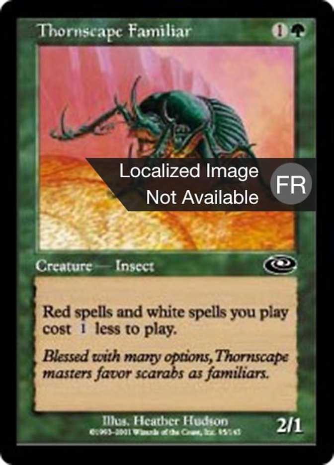 image Familier spinosophe