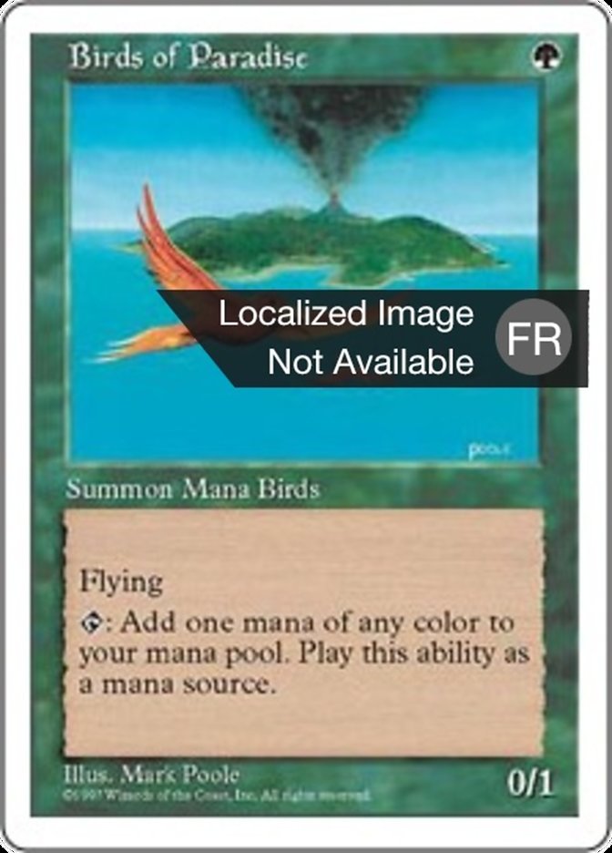 image Oiseaux de paradis