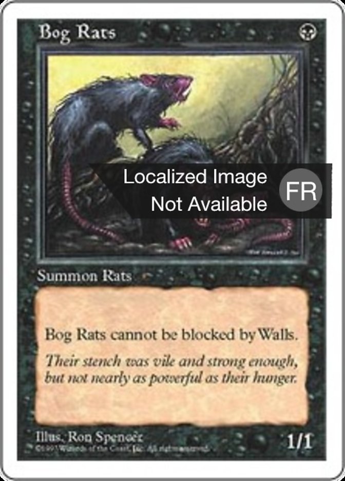 image Rats des marécages
