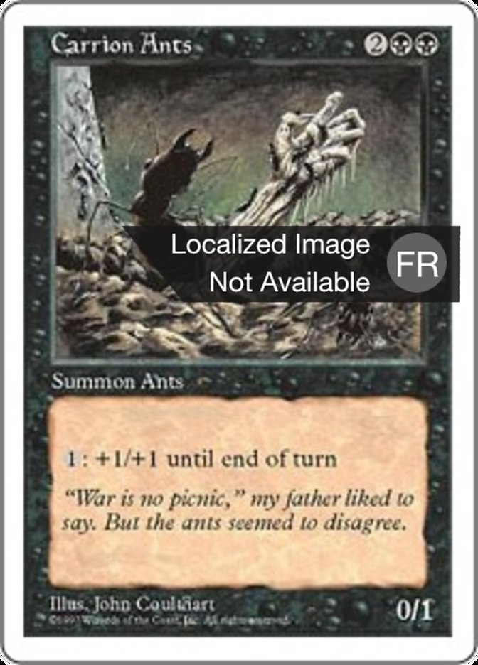 image Fourmis charognardes