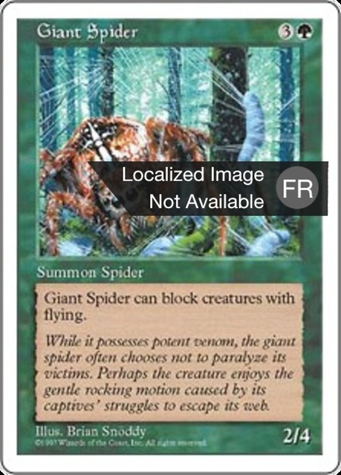 image Araignée géante