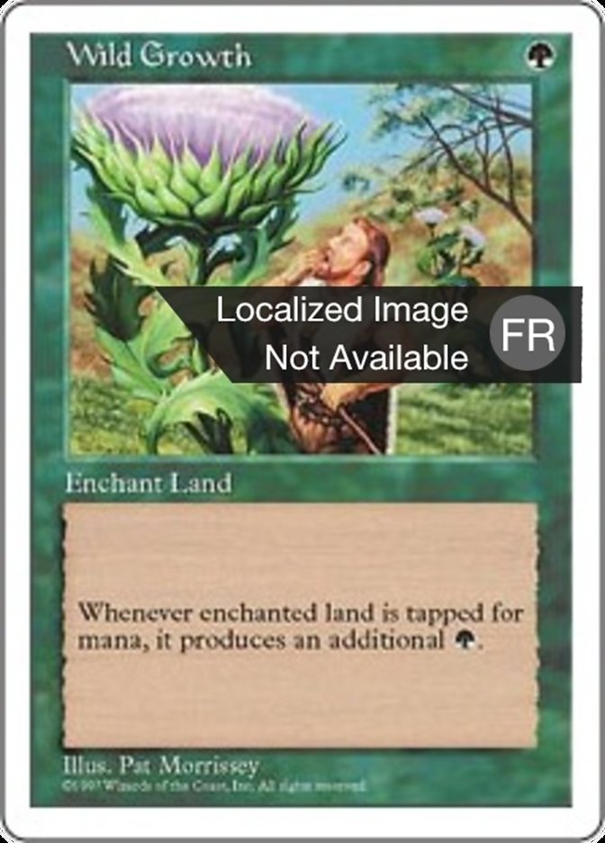 image Végétation luxuriante