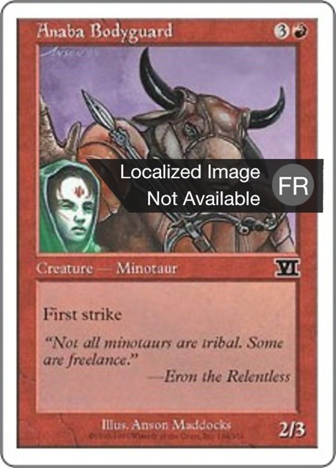 image Garde du corps anabaan