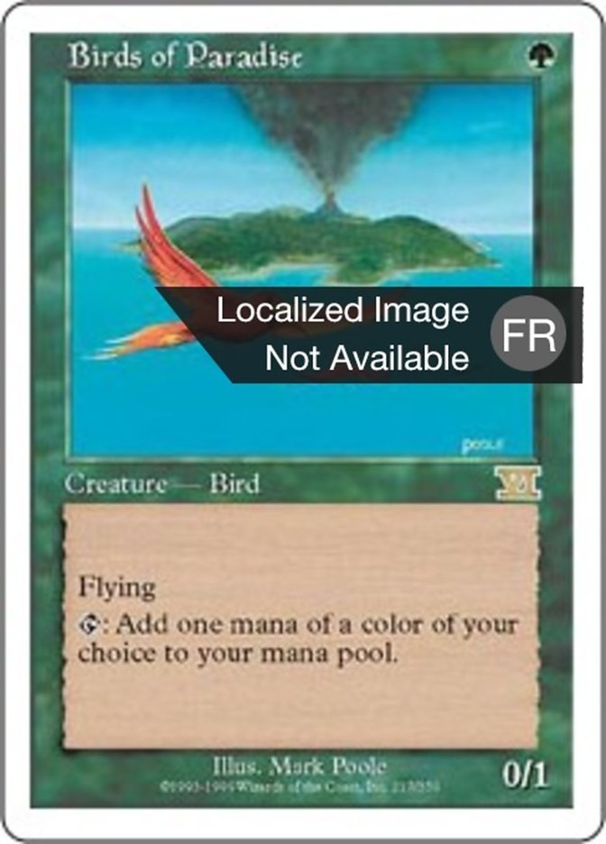 image Oiseaux de paradis