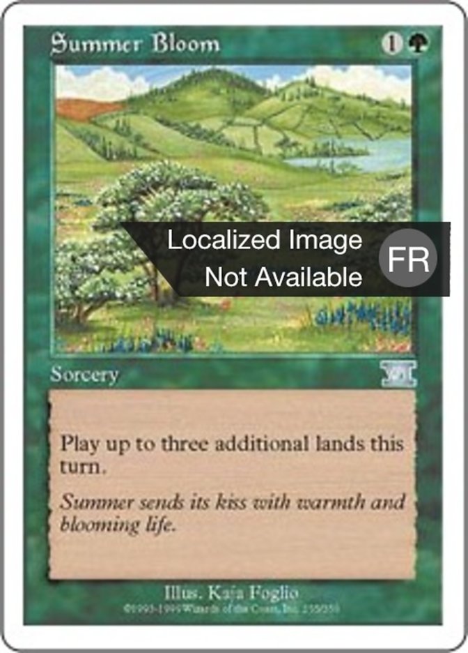 image Floraison estivale