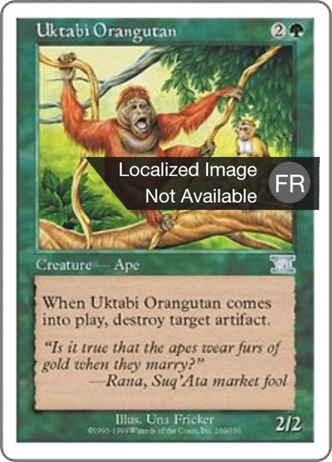 image Orang-outang de l'Ouktabi