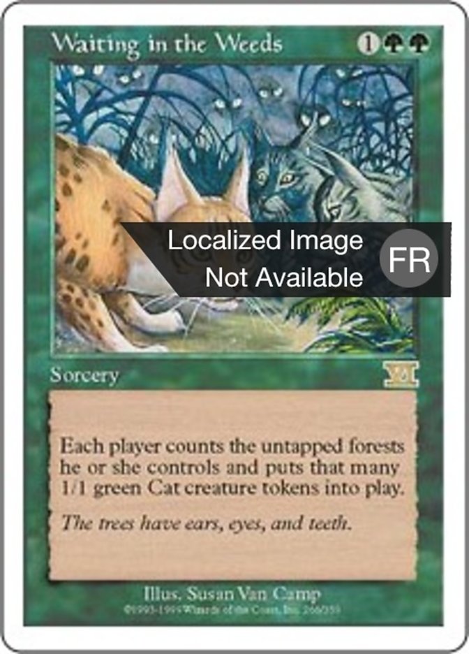 image Caché sous les herbes folles