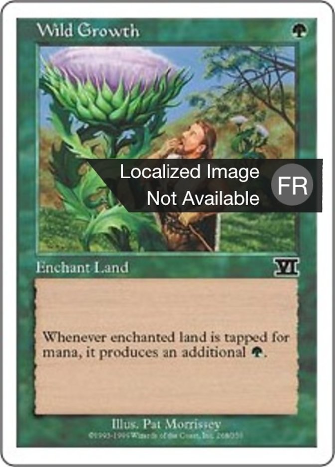 image Végétation luxuriante