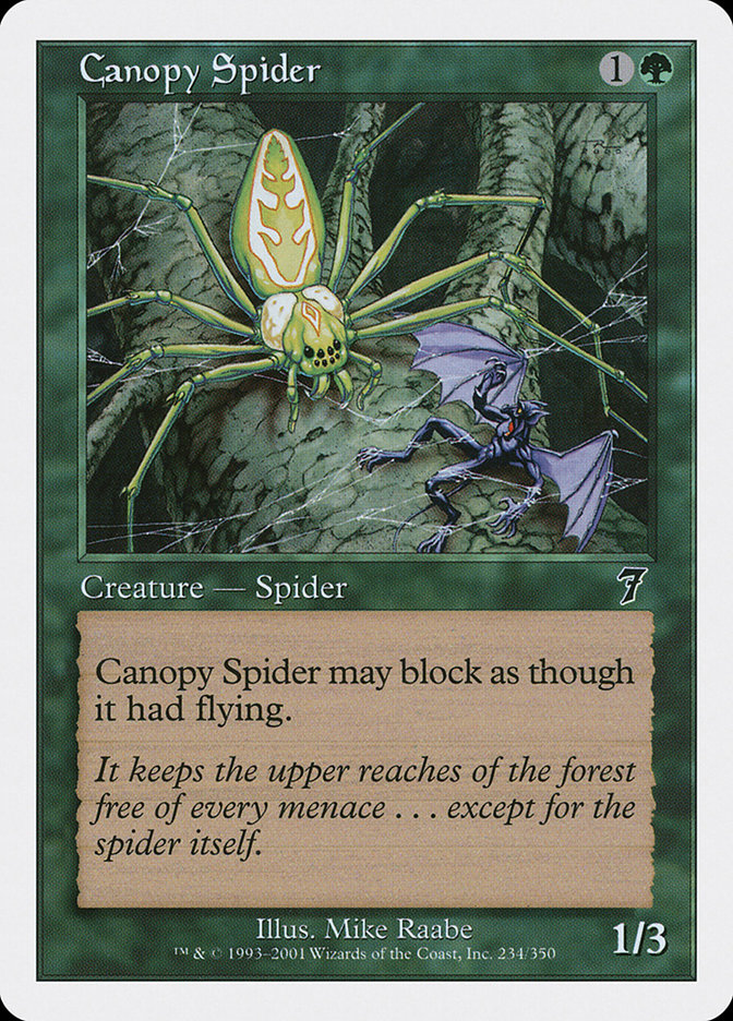 image Canopy Spider