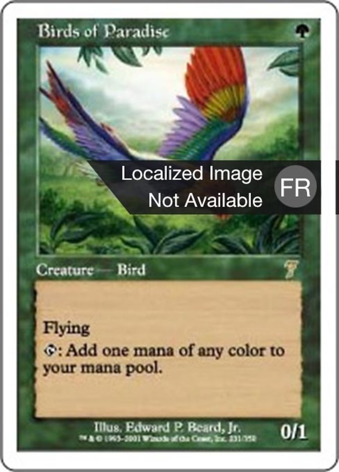 image Oiseaux de paradis