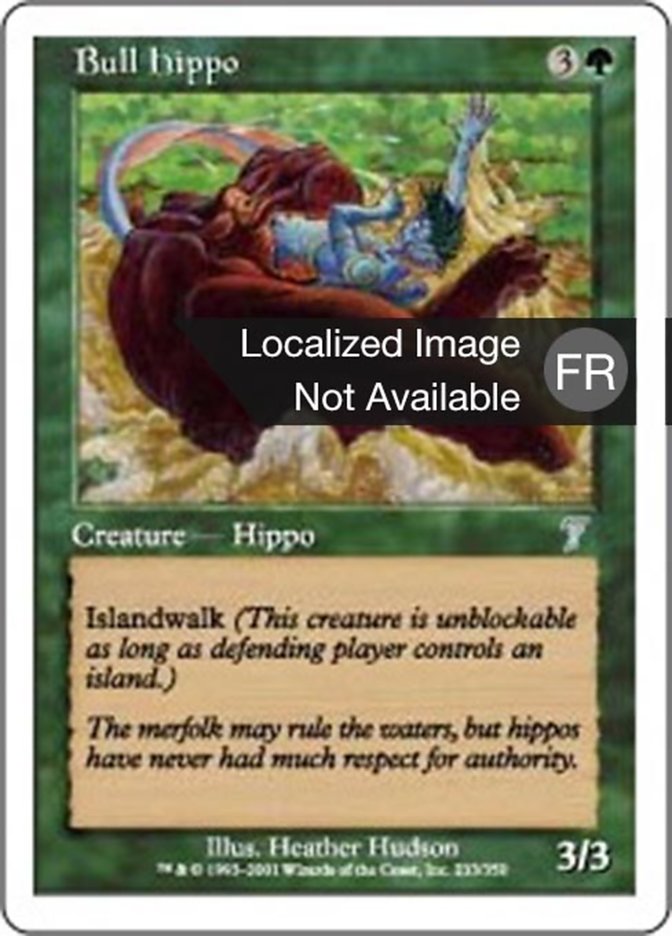 image Hippopotame mâle