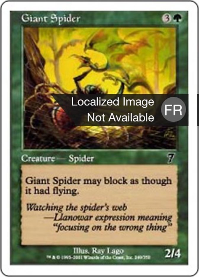 image Araignée géante