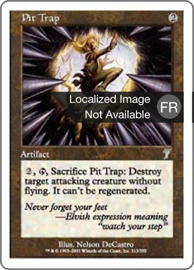 image Fosse piégée