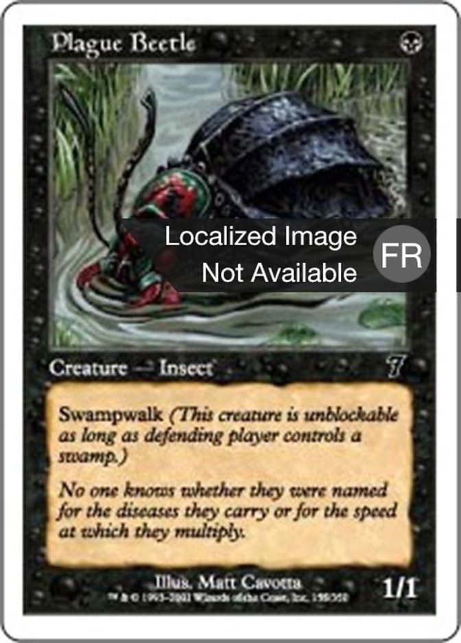 image Scarabée de la Peste