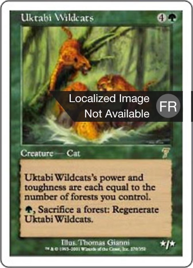 image Chats sauvages de l'Ouktabi