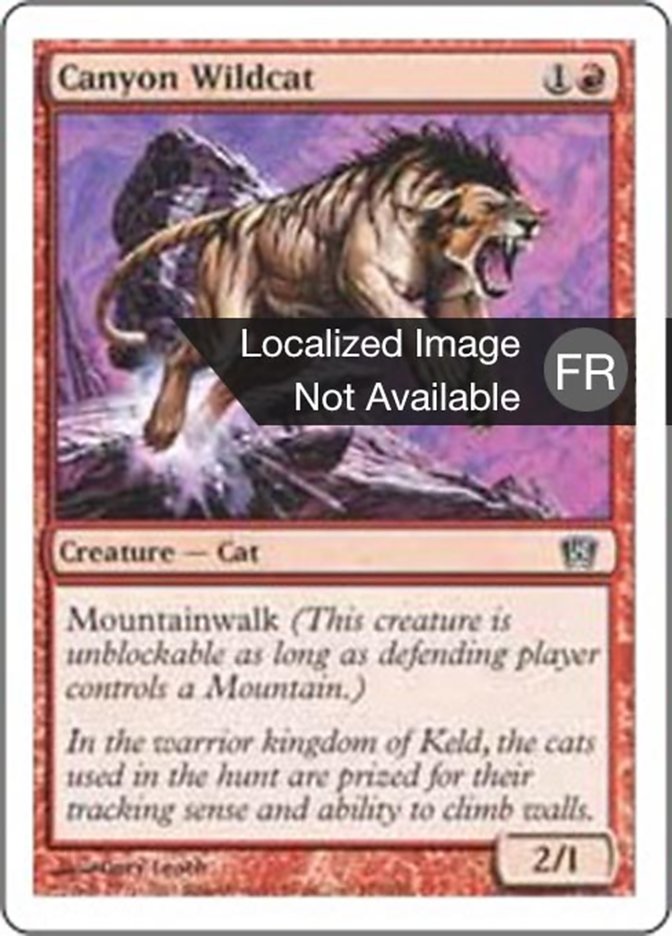 image Chat sauvage des canyons