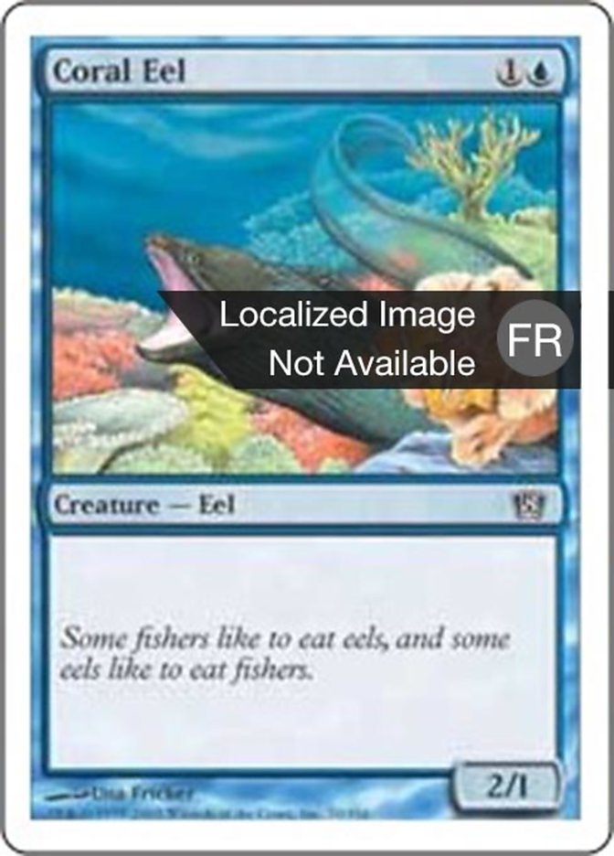 image Anguille des coraux