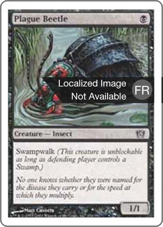 image Scarabée de la Peste