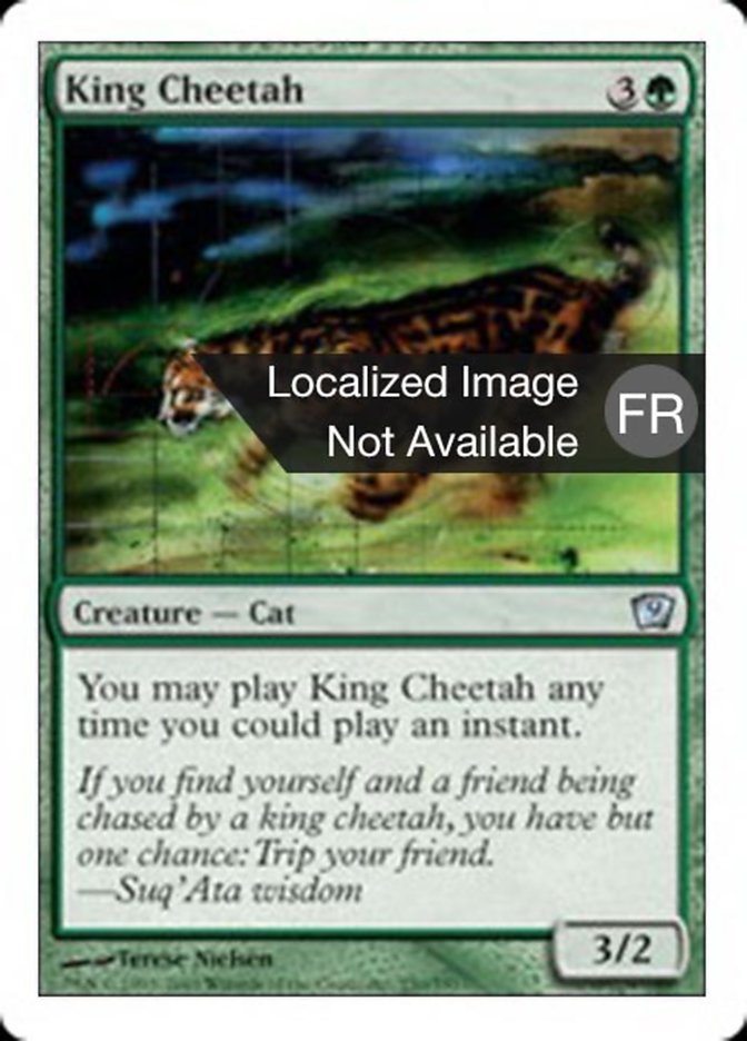 image Guépard royal