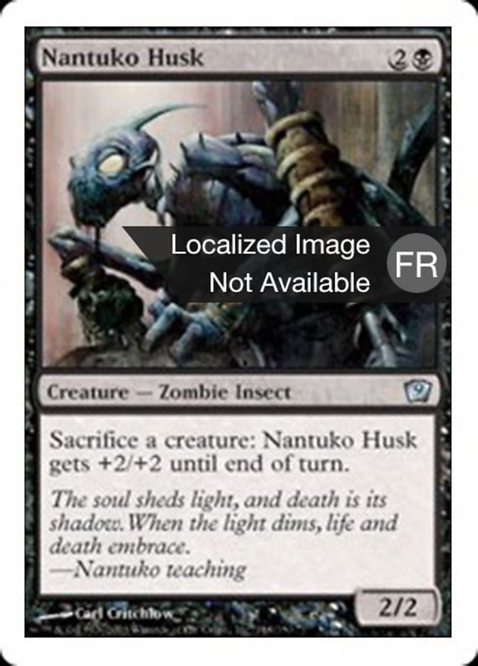 image Carapace de nantuko