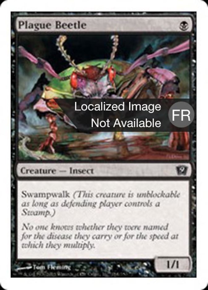 image Scarabée de la Peste