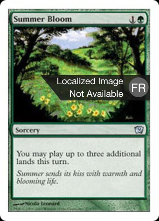 image Floraison estivale