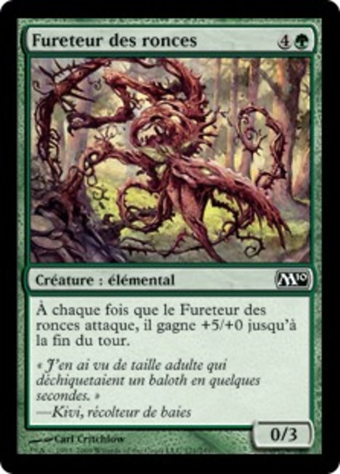 image Fureteur des ronces