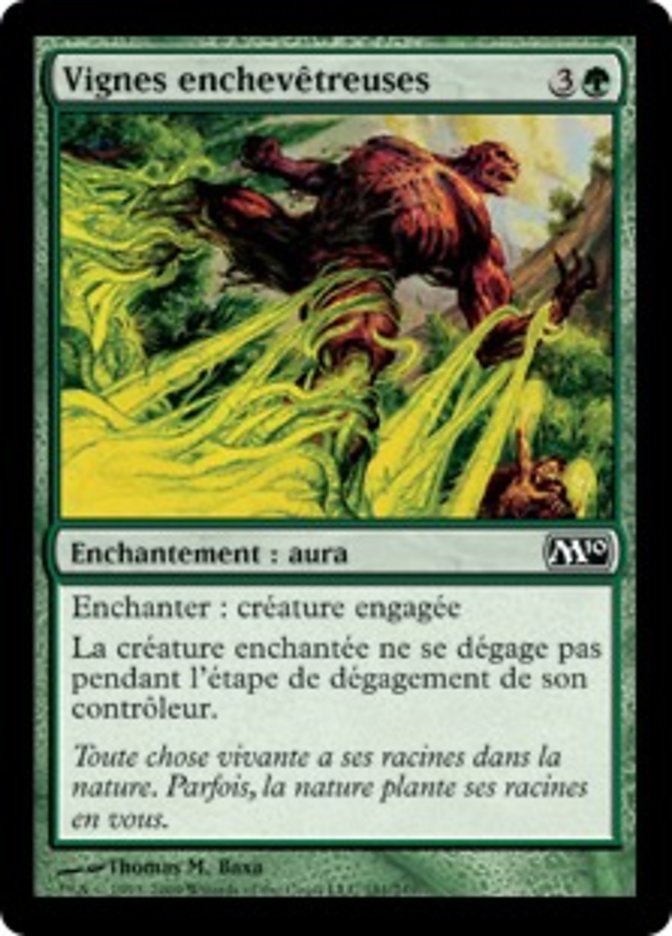 image Vignes enchevêtreuses