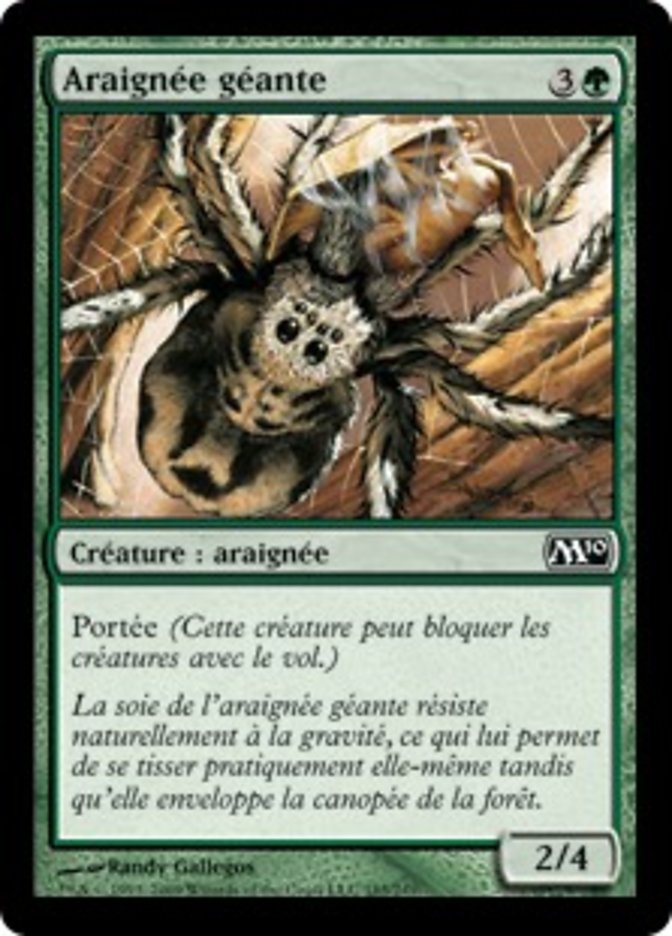 image Araignée géante