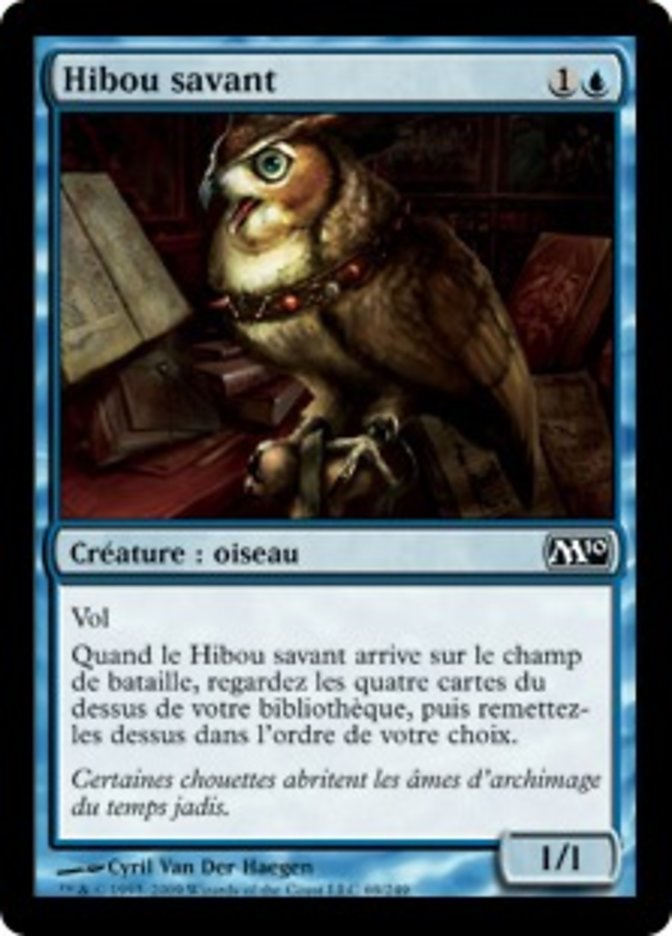 image Hibou savant
