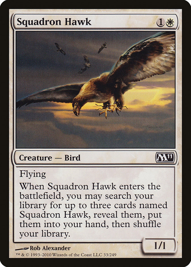 image Squadron Hawk