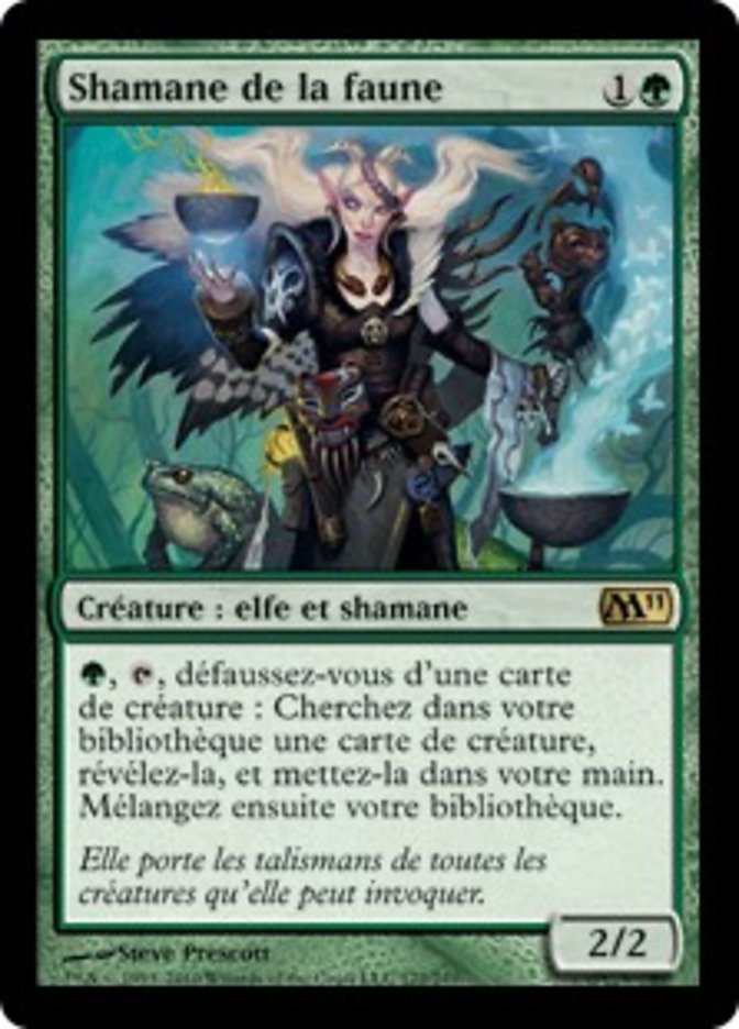 image Shamane de la faune