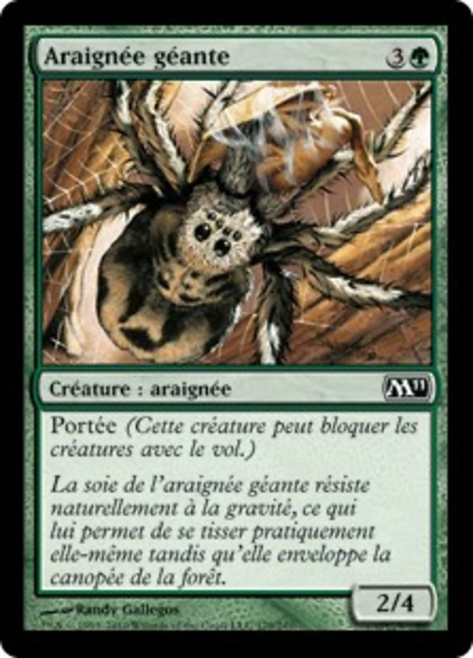 image Araignée géante