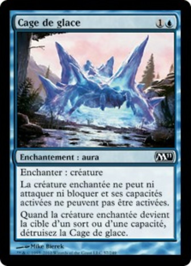 image Cage de glace