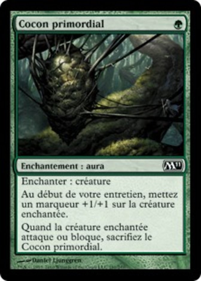 image Cocon primordial