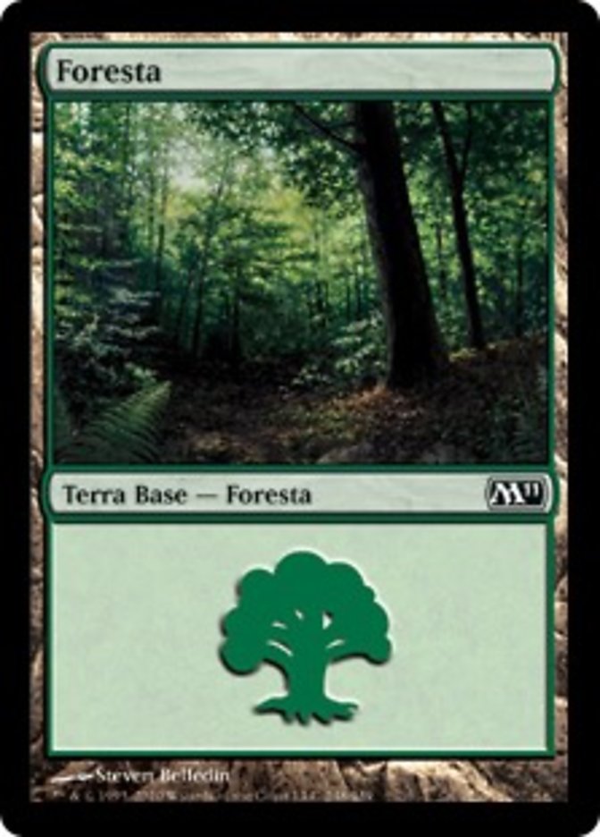 Foresta