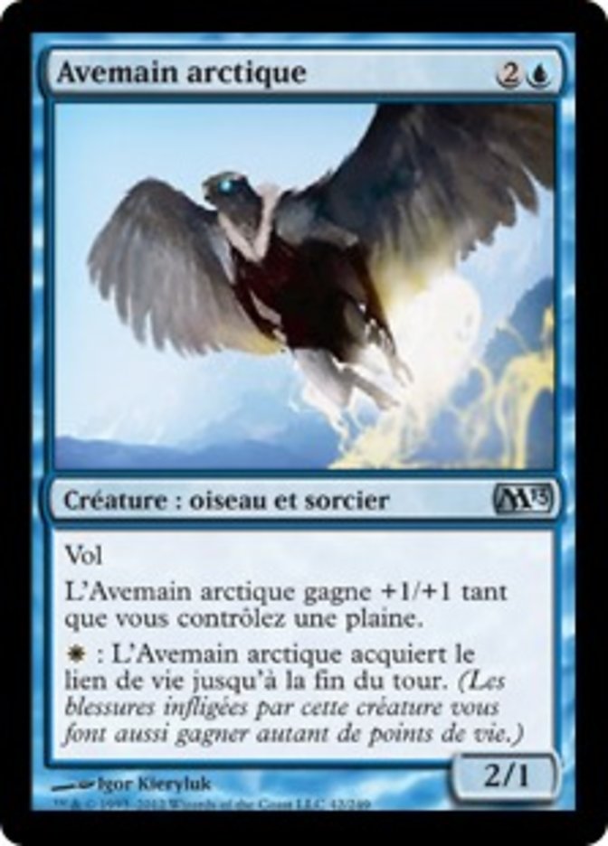 image Avemain arctique