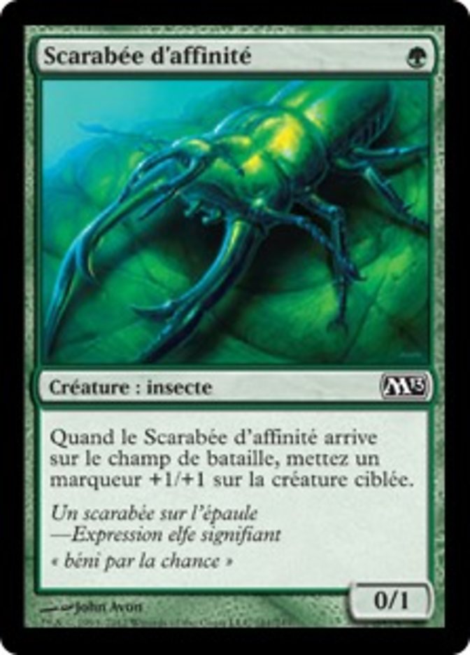 image Scarabée d'affinité